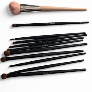 SHAN Makeup Brush Set And Fenty face 125 brush